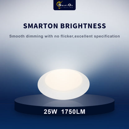 12Inch Surface Mount Disk Downlight 5CCT 25W 1750LM