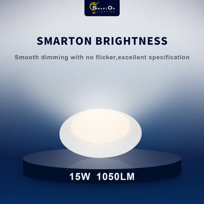 disc lights ceiling-15W,1050LM