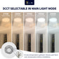 Flush Mount Ceiling Light with Night Light , 7 Inch , 12W , 700 Lumens , Seclctable CCT
