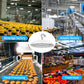 NSF-rated LED food processing lights,100/150/200 Wattage Selectable,IP65K 150lm/W ,5000K LED UFO NSF-Rated High Bays For  Food store, Food processing plants,Workshops,Factories,5 YEAR WARRANTY,UL&DLC listed IP69K