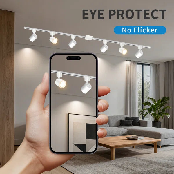 Black Track Light Heads (Black/White)