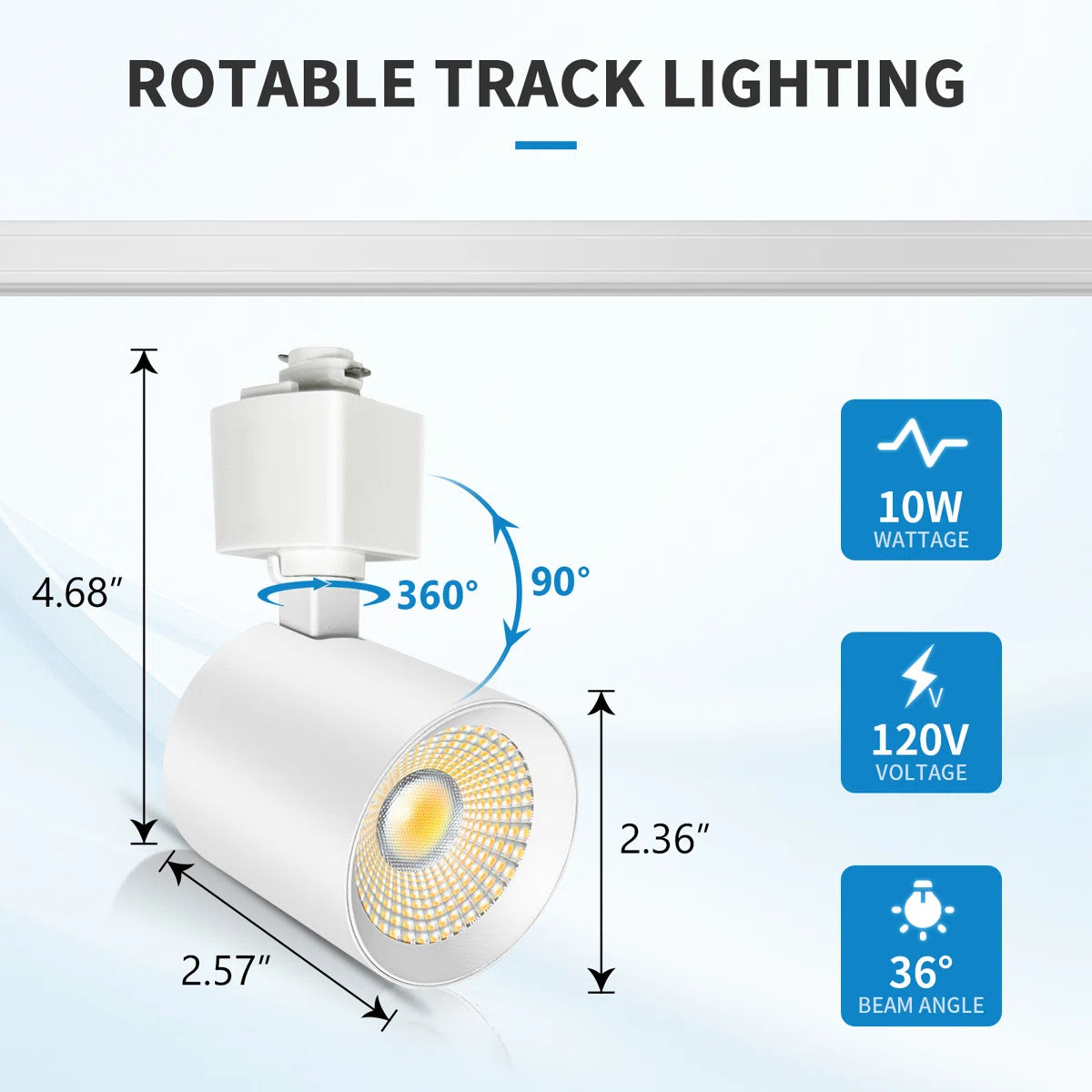 Black Track Light Heads (Black/White)