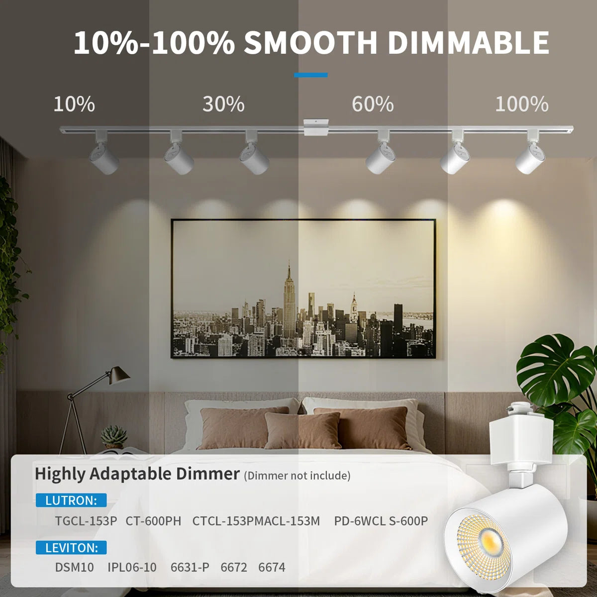 Black Track Light Heads (Black/White)