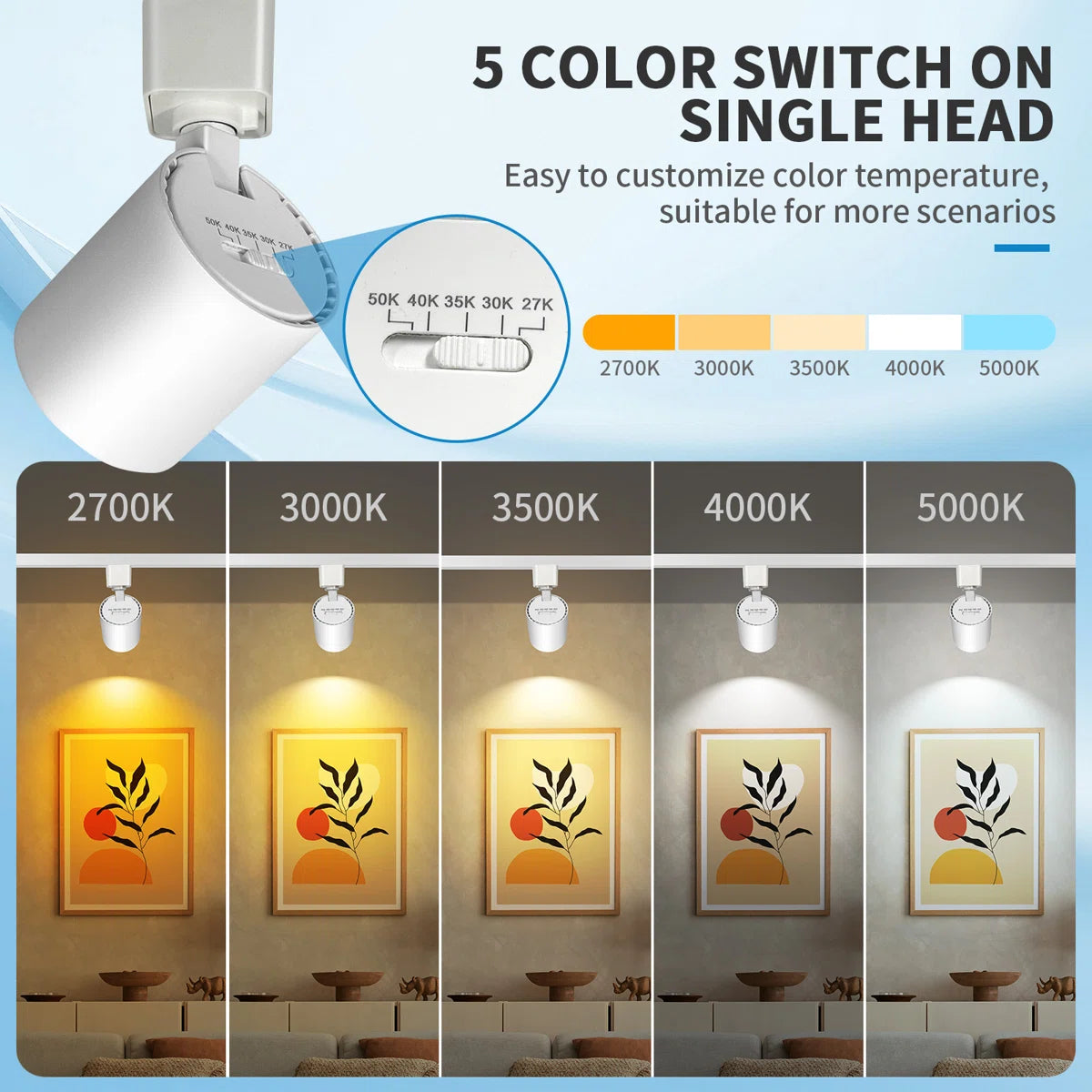 Black Track Light Heads (Black/White)