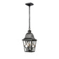 Outdoor Pendant Light Fixture, Modern Black Exterior Hanging Lantern Anti-Rust Metal Hanging Lights with Clear Glass Shade and Adjustable Chain for Porch Foyer Doorway Front Door (1 pack)