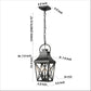 Black Outdoor Pendant Light 2-Light Outside Pendant Hanging Light Fixture Ceiling Mount with Clear Glass Industrial Hanging Cage Chandelier for Porch,Entryway,Doorway,Farmhouse (1 pack)