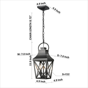 Black Outdoor Pendant Light 2-Light Outside Pendant Hanging Light Fixture Ceiling Mount with Clear Glass Industrial Hanging Cage Chandelier for Porch,Entryway,Doorway,Farmhouse (1 pack)