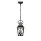 Black Outdoor Pendant Light 2-Light Outside Pendant Hanging Light Fixture Ceiling Mount with Clear Glass Industrial Hanging Cage Chandelier for Porch,Entryway,Doorway,Farmhouse (1 pack)