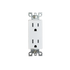 15A Duplex Wall Outlet