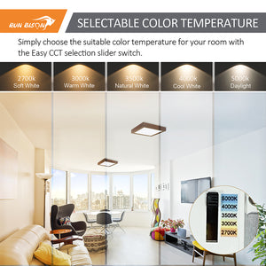 Run Bison 9 Inch Square 5CCT Color Selectable Surface Mount Panel Light Fixture, Bronze Finish