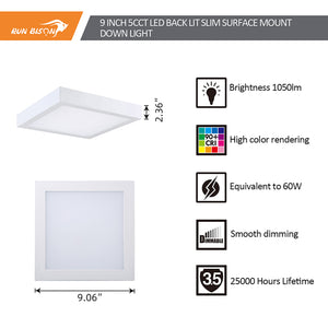 Run Bison 9 Inch Square 5CCT Color Selectable Surface Mount Panel Light Fixture, White Finish
