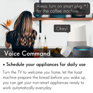 Smart WiFi Plug - Works with Google Home &  Alexa